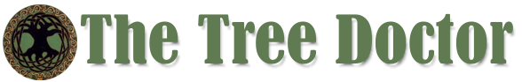 The Tree Doctor – Cape Town
